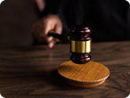 Legal and professional services